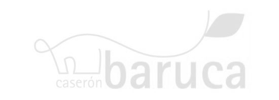 BARUCA-BN-logotipo-empresas que trabajan con nosotros